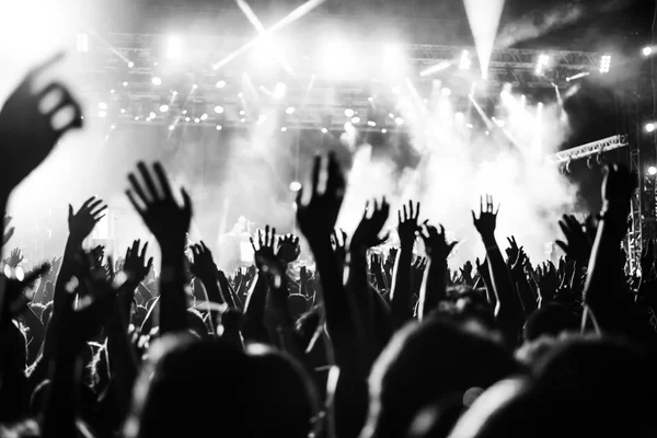 Live Music Experiences